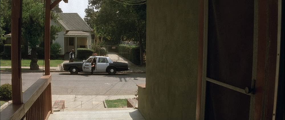 ワイルド・アット・ハートの画像