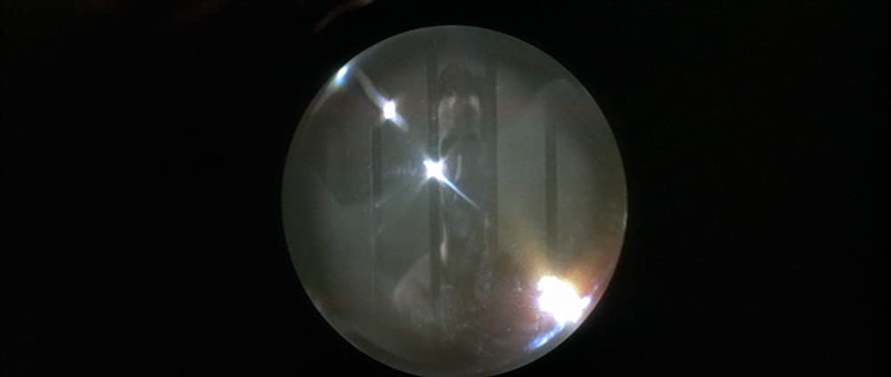 ワイルド・アット・ハートの画像