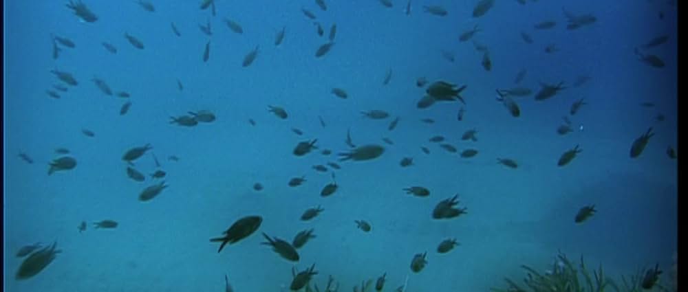 ルシアとSEXの画像