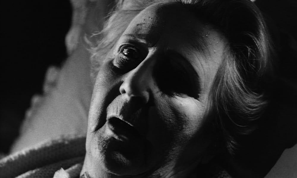 知りすぎた少女の画像