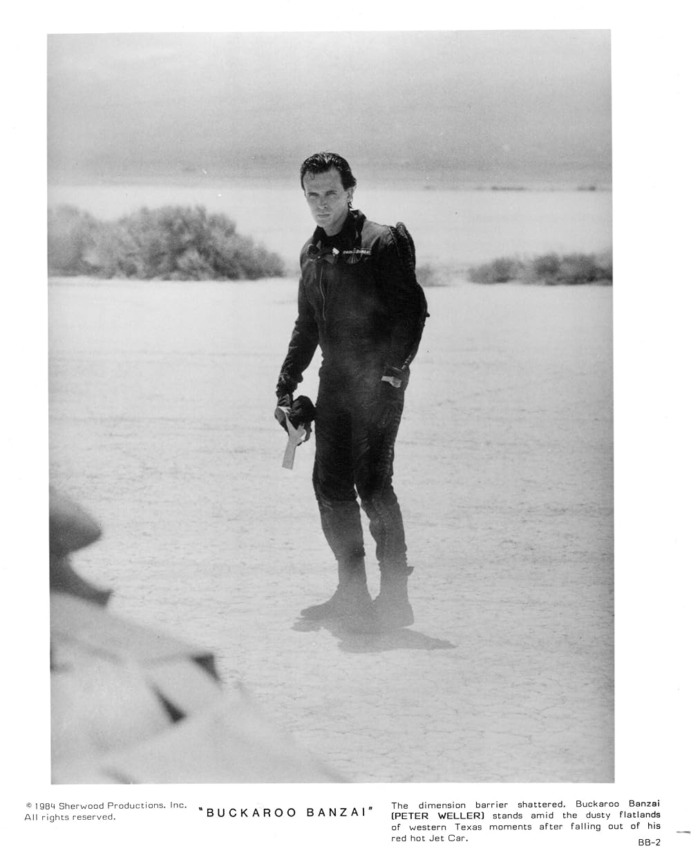 バカルー・バンザイの8次元ギャラクシーの画像