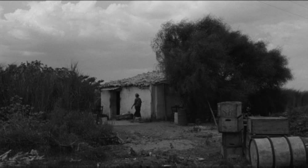 婚約者たちの画像