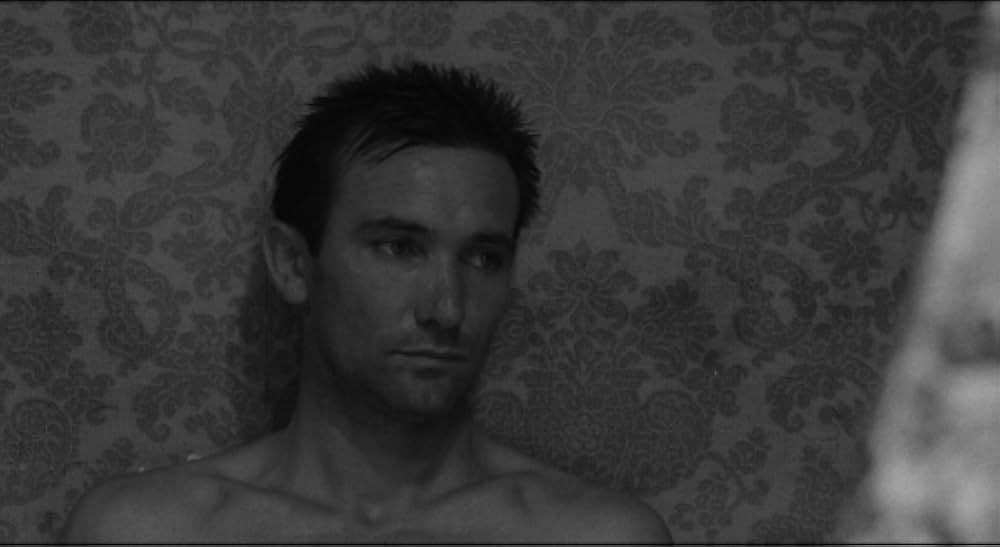 婚約者たちの画像