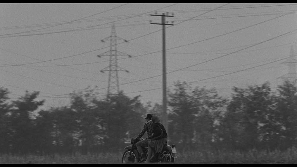 婚約者たちの画像