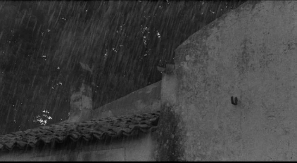 婚約者たちの画像