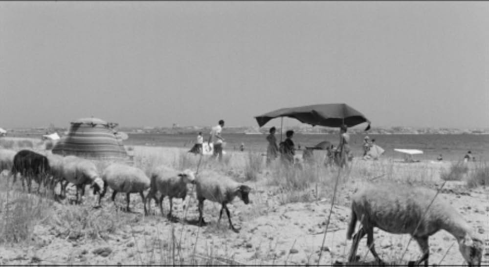 婚約者たちの画像