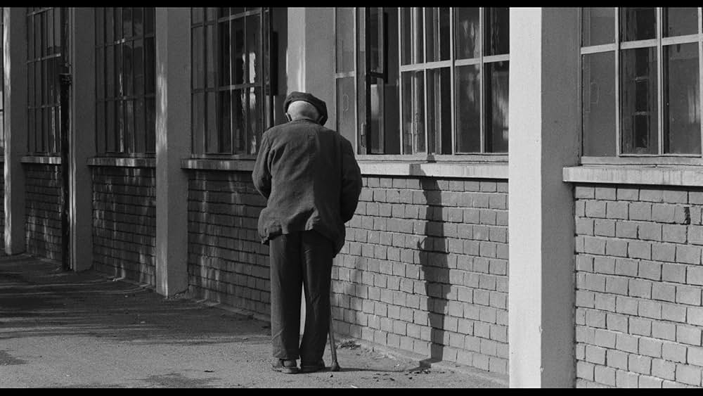 婚約者たちの画像