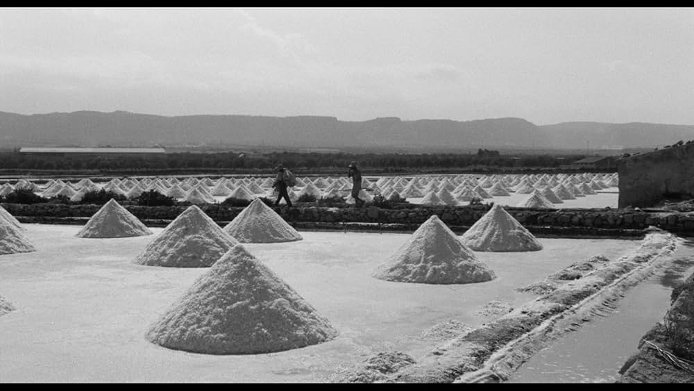 婚約者たちの画像