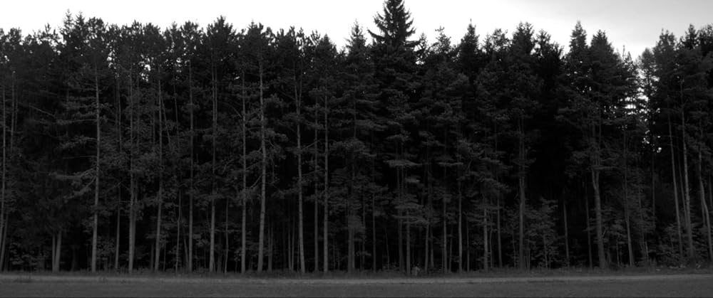 The Eyes of My Mother（原題）の画像