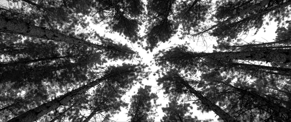 The Eyes of My Mother（原題）の画像