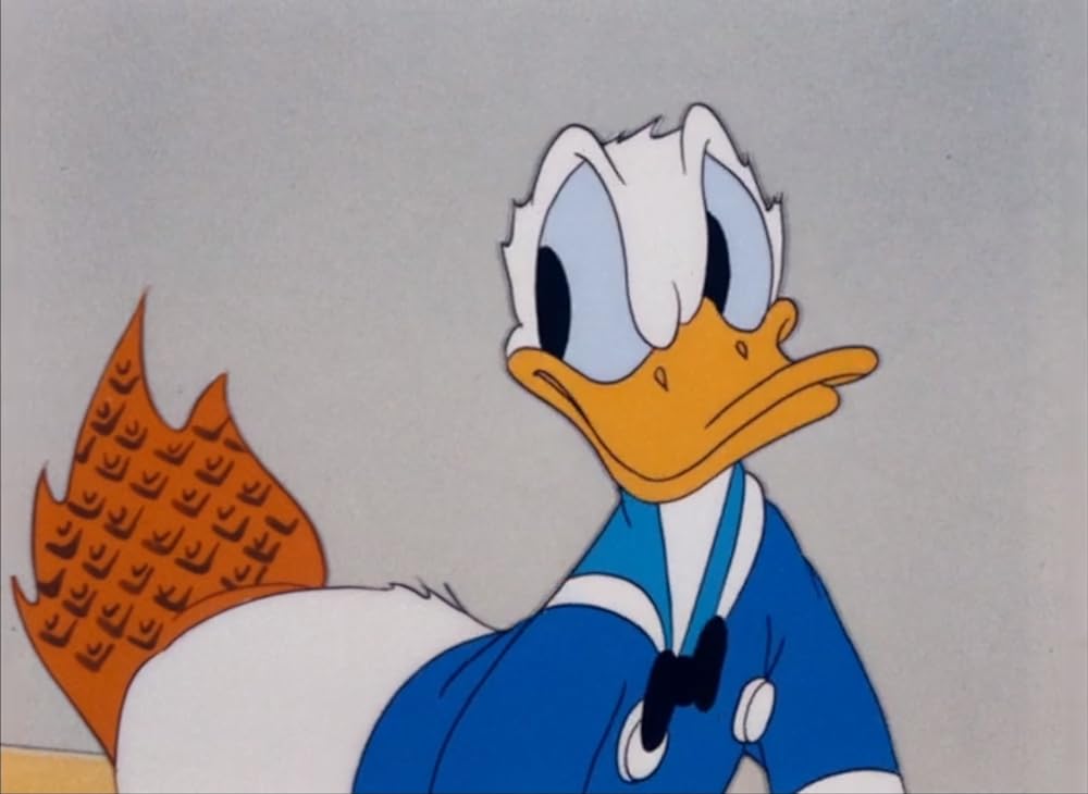 ドナルドのお料理の画像