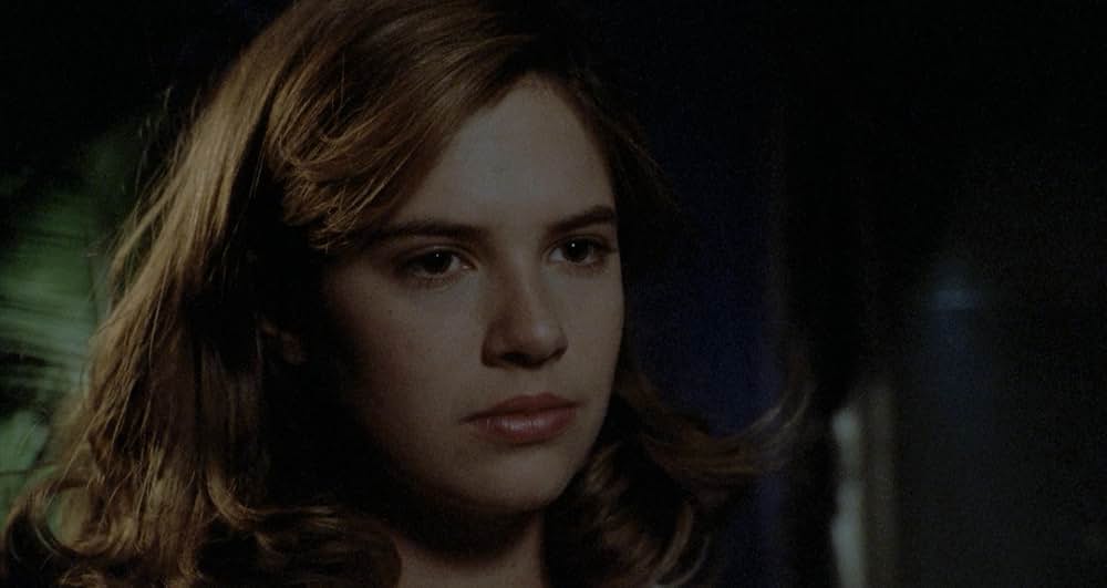 アミティヴィル1992の画像