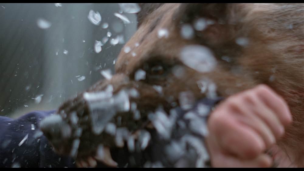 アミティヴィル1992の画像