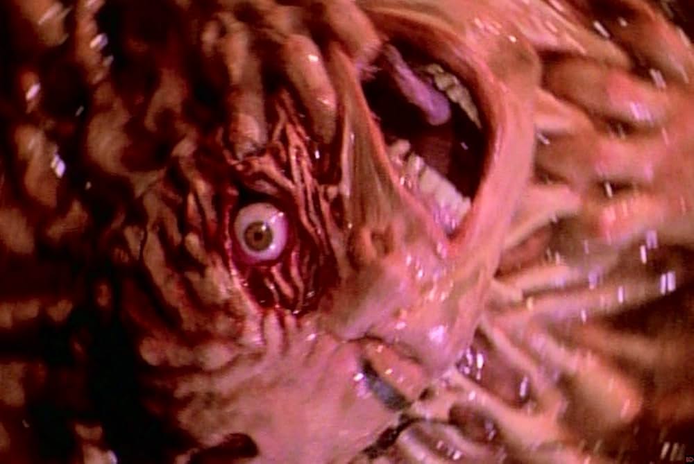 「アミティヴィル1992」の画像