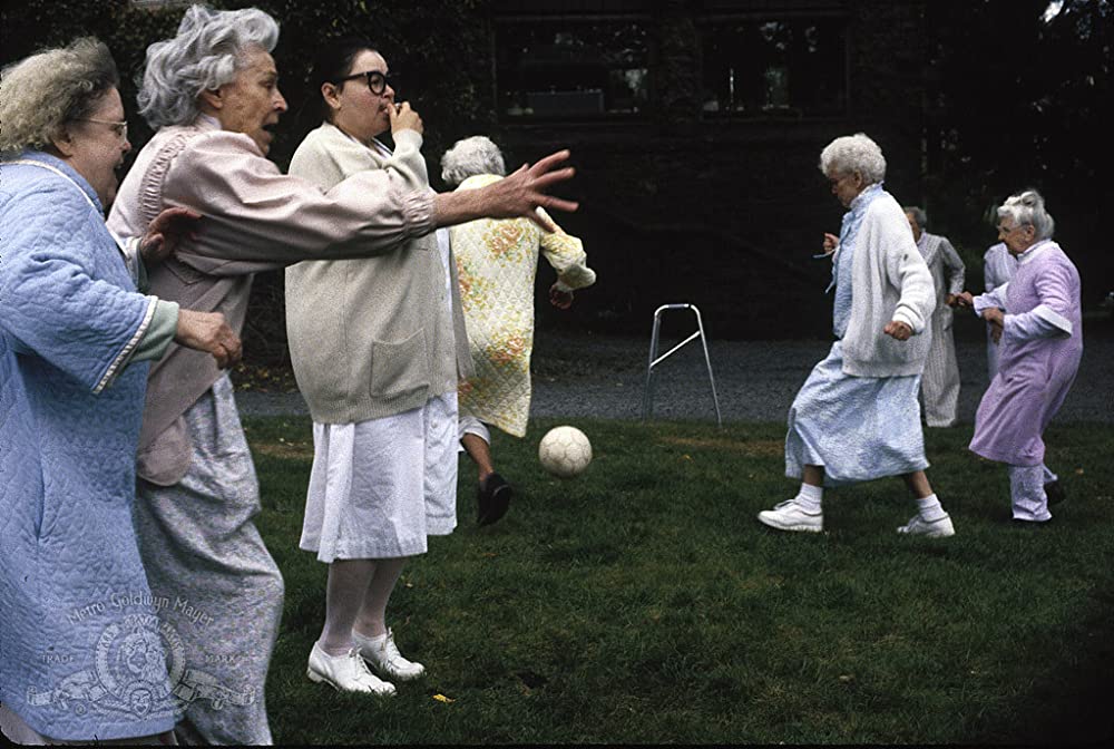 シー・デビルの画像