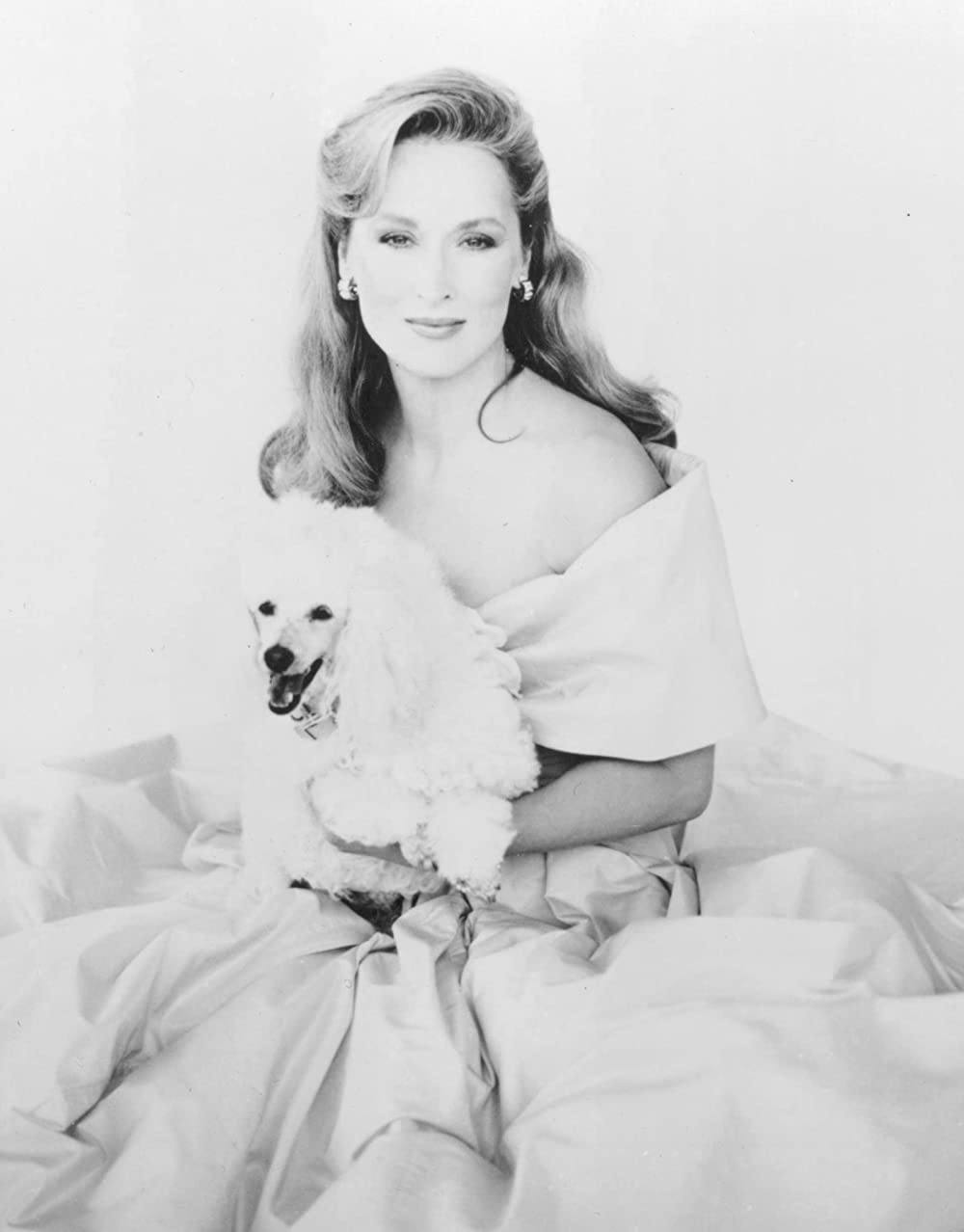 シー・デビルの画像