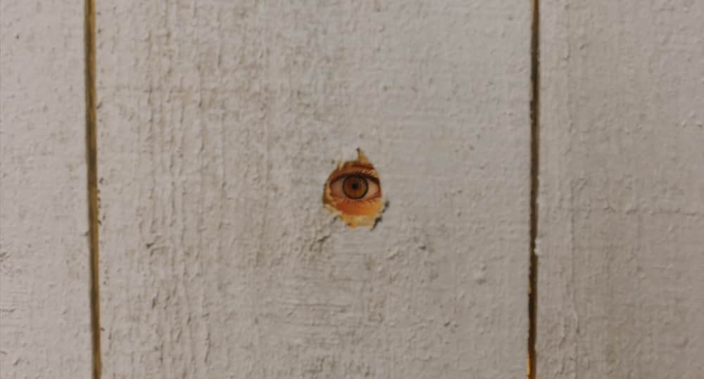 ドライブアウェイ・ドールズの画像