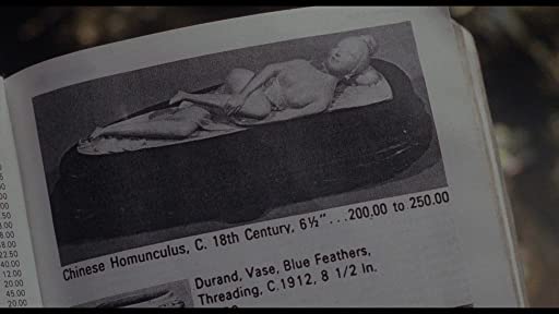 「ローズ家の戦争」の画像