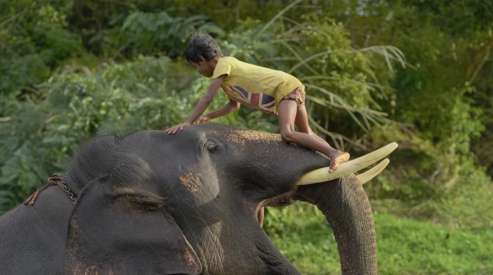 エレファント・ウィスパラー：聖なる象との絆の画像