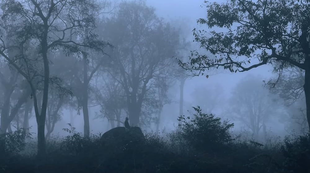 エレファント・ウィスパラー：聖なる象との絆の画像