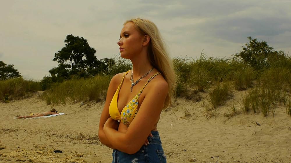 ノー・シャークの画像