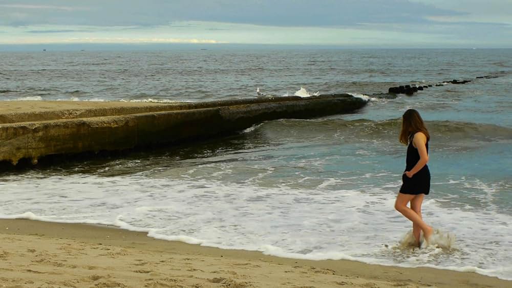 ノー・シャークの画像