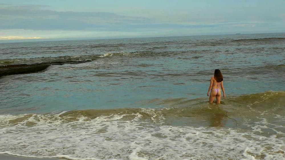 ノー・シャークの画像