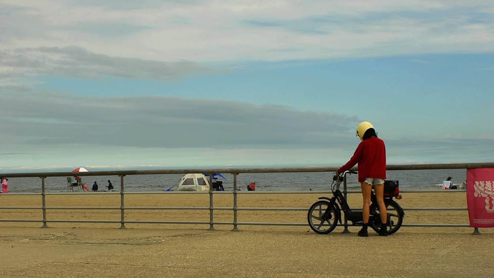 ノー・シャークの画像