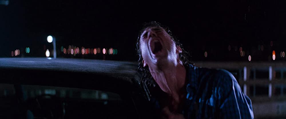 リーサル・ウェポン2 炎の約束の画像