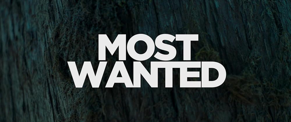 ターゲット・ナンバーワン／虚構のターゲットの画像