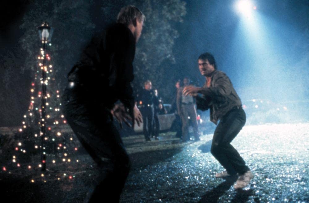 リーサル・ウェポンの画像