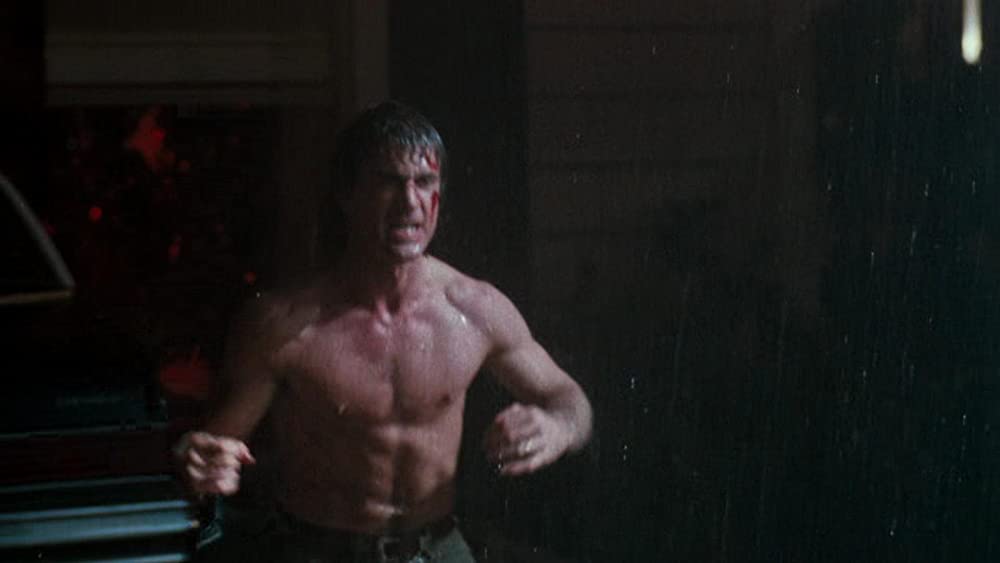 リーサル・ウェポンの画像