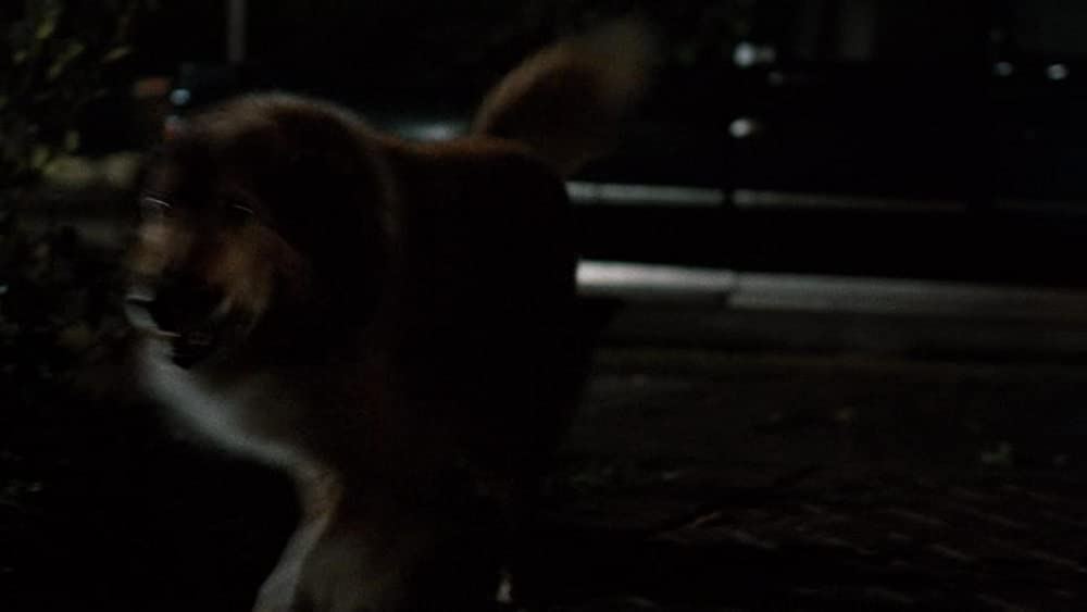 リーサル・ウェポンの画像