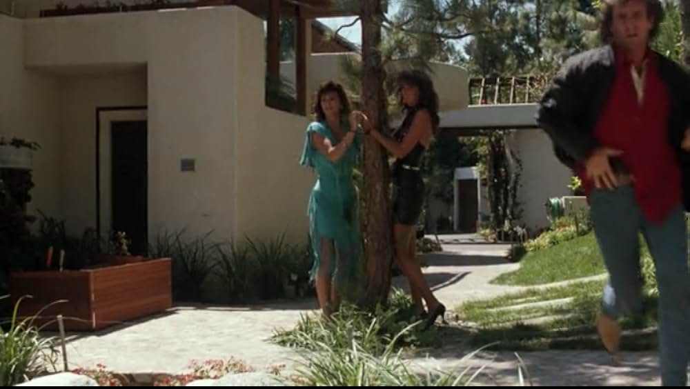 リーサル・ウェポンの画像