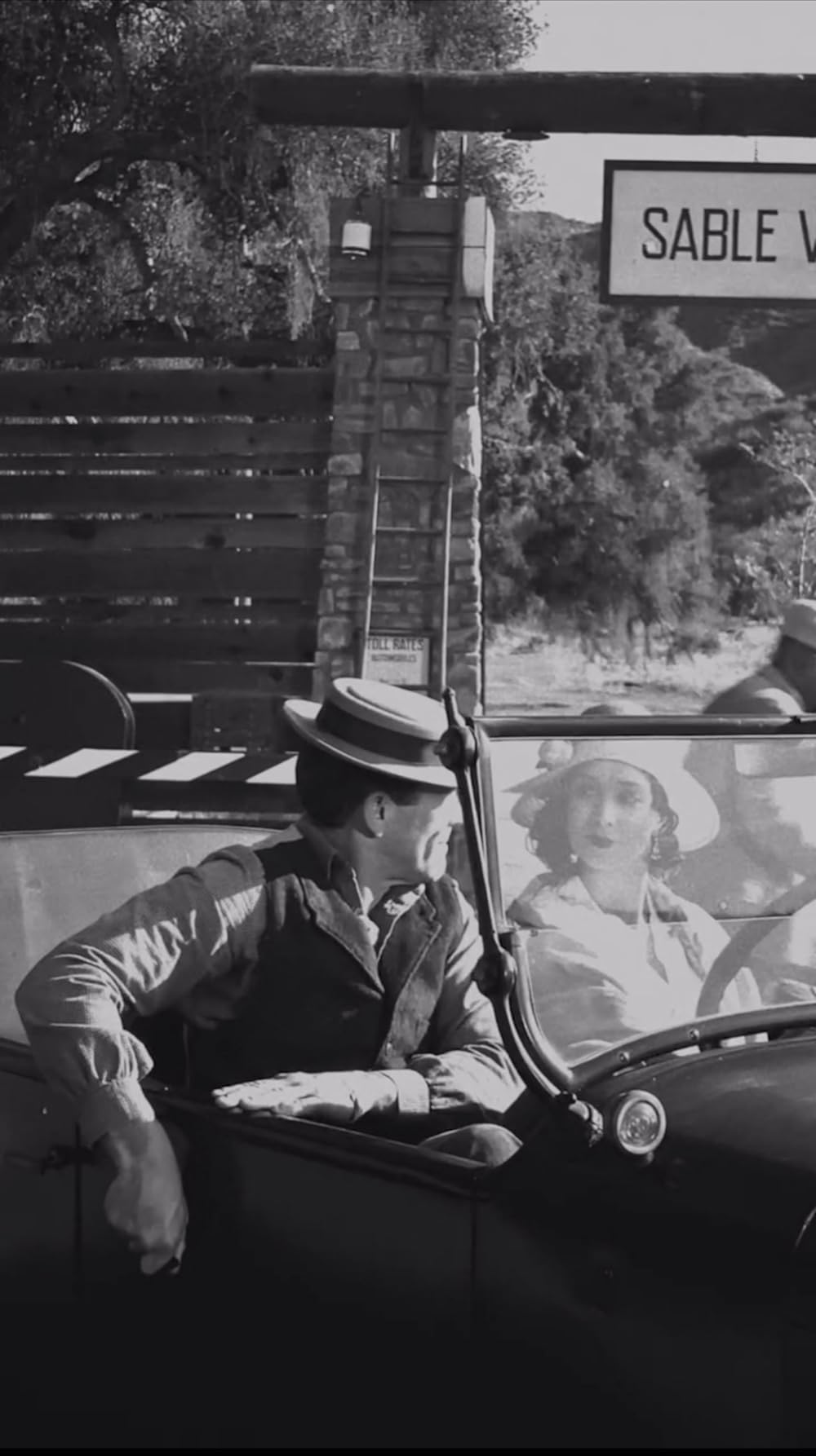 「The Stunt Double（原題）」Tom McComas & Preeti Desaiの画像