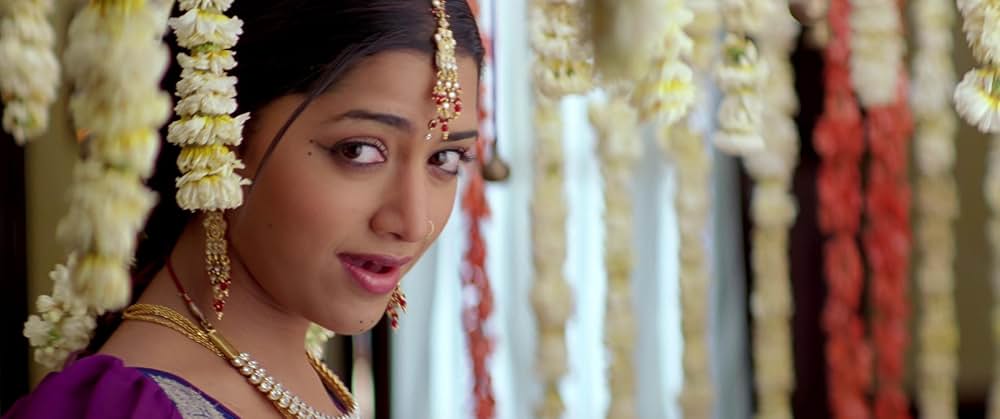 ヤマドンガの画像