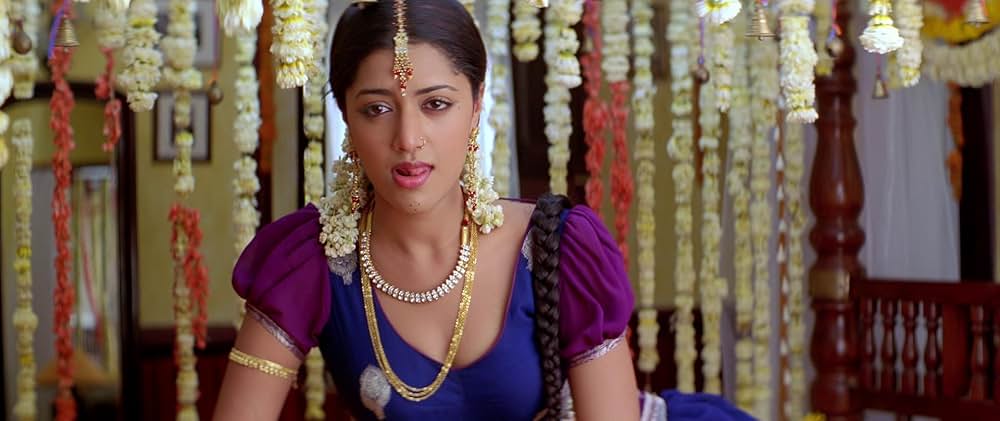 ヤマドンガの画像