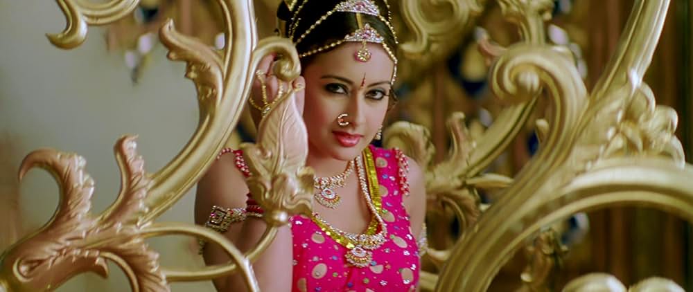 ヤマドンガの画像