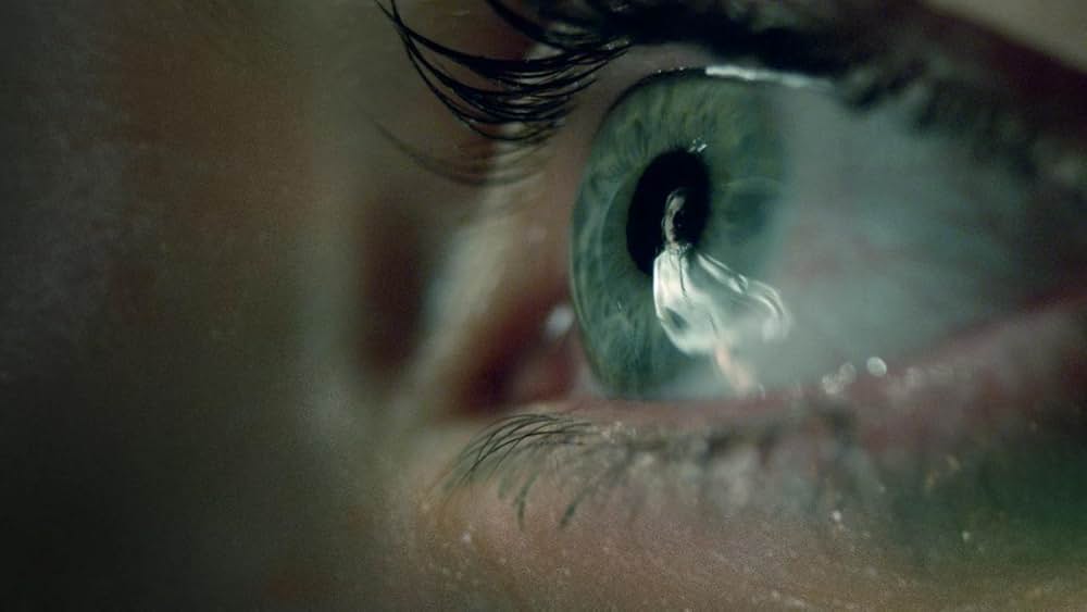 呪われし家に咲く一輪の花の画像