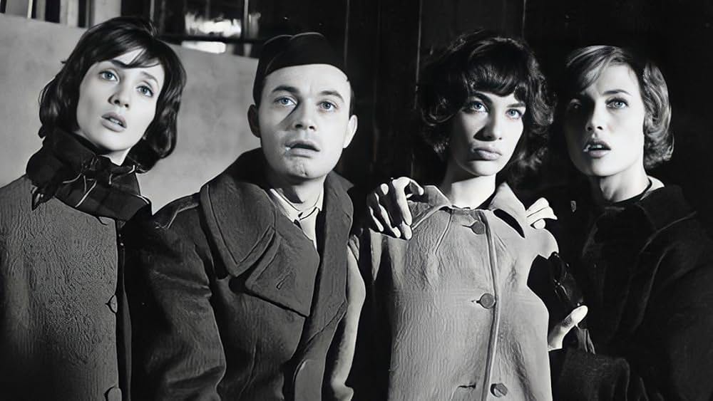 気のいい女たちの画像