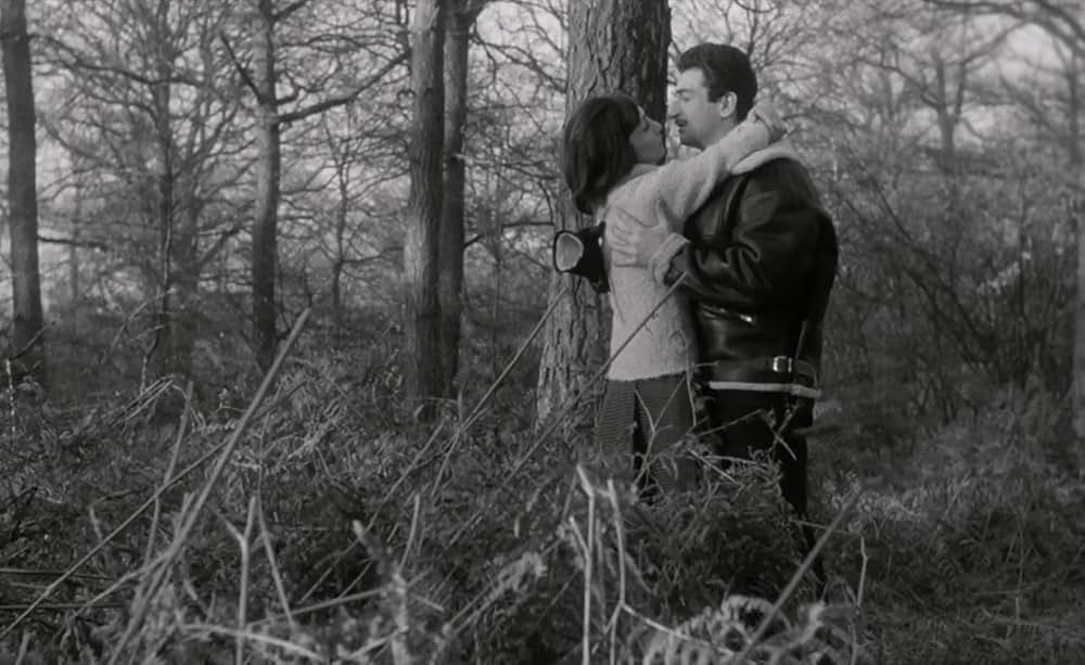 気のいい女たちの画像