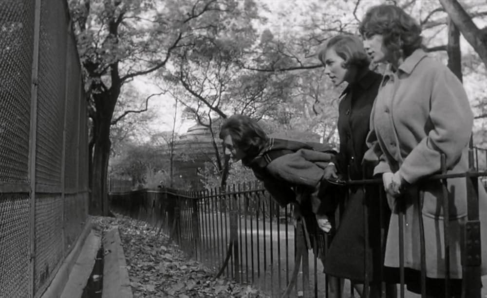 気のいい女たちの画像