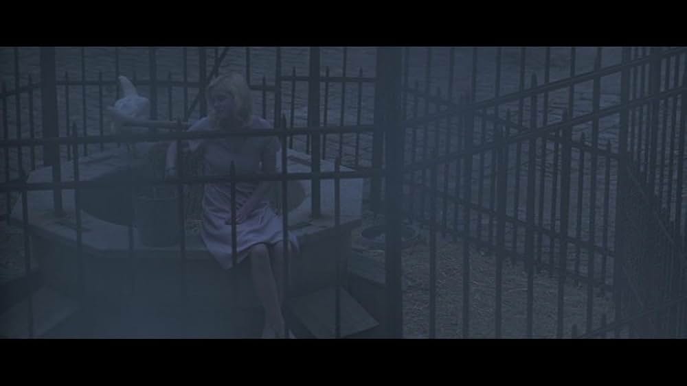 フレッシュ・デリの画像