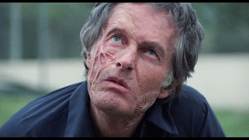 血ぬられた入寮式／呪われた女子大生の謎の画像