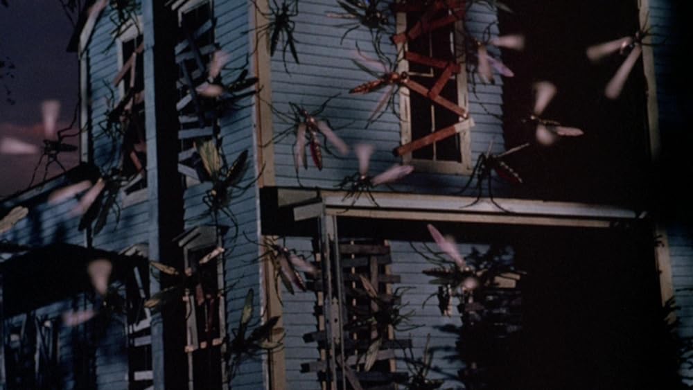 モスキートの画像