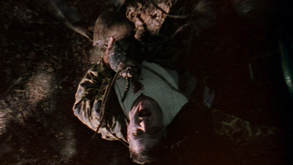 モスキートの画像