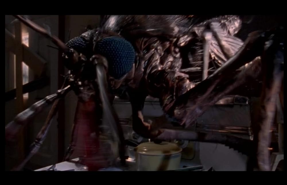 モスキートの画像