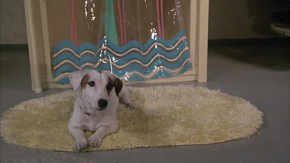 アーネスト、監獄に行く！の画像