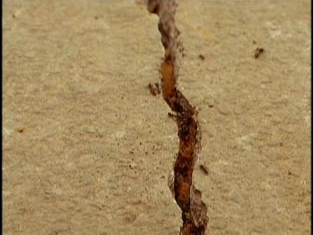 ルナティック・ラブ／禁断の姉弟の画像