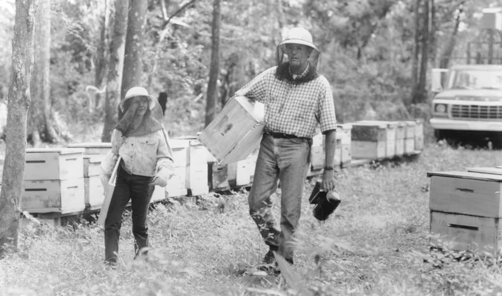 木洩れ日の中での画像